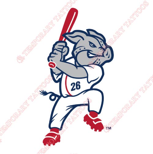 Lehigh Valley IronPigs Customize Temporary Tattoos Stickers NO.7983